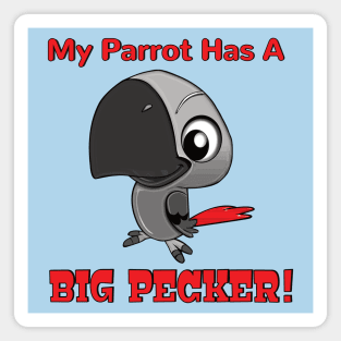 My African Grey Parrot has a Big Pecker Magnet